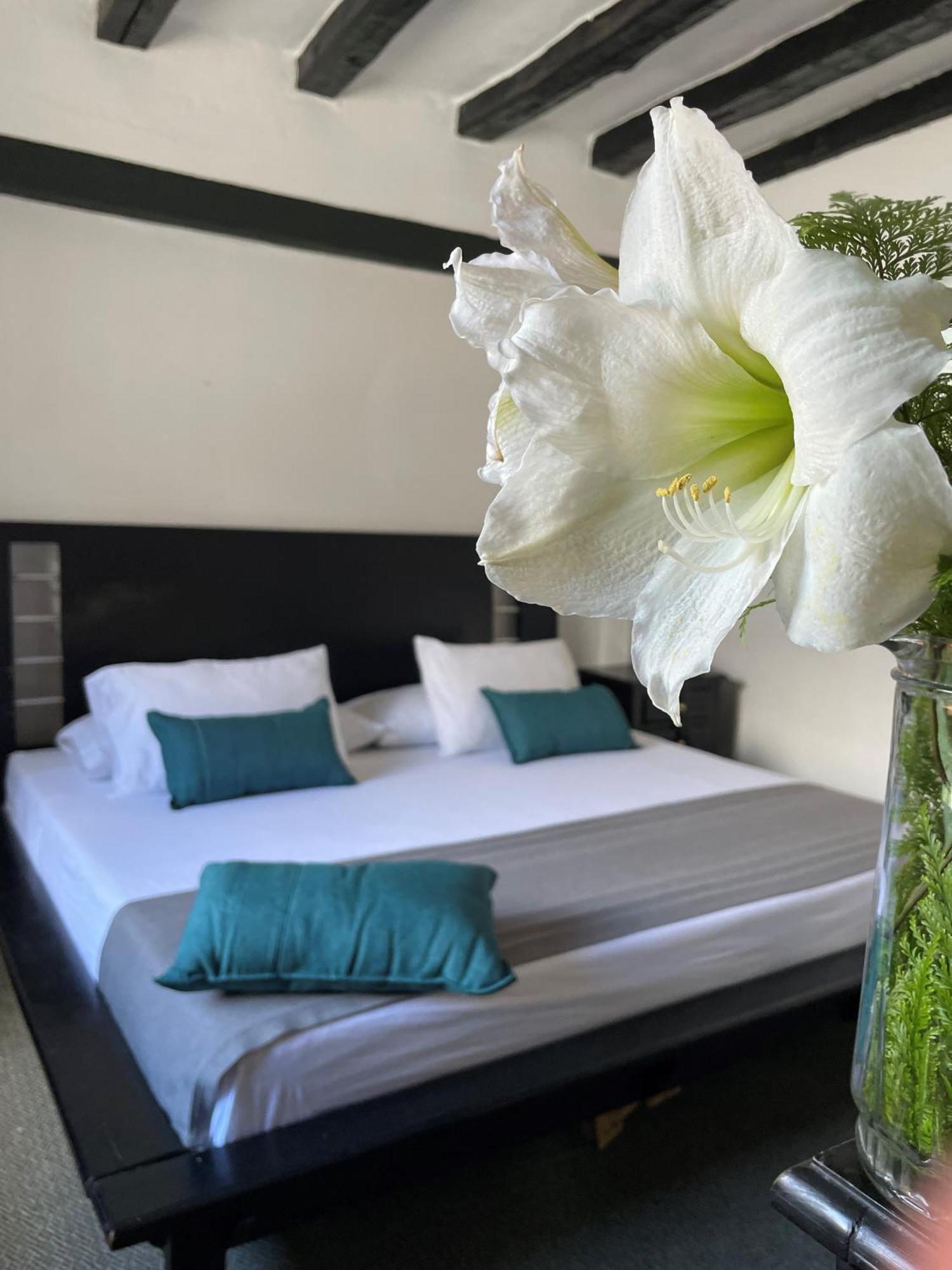 Hotel Premium Real Medellín Buitenkant foto